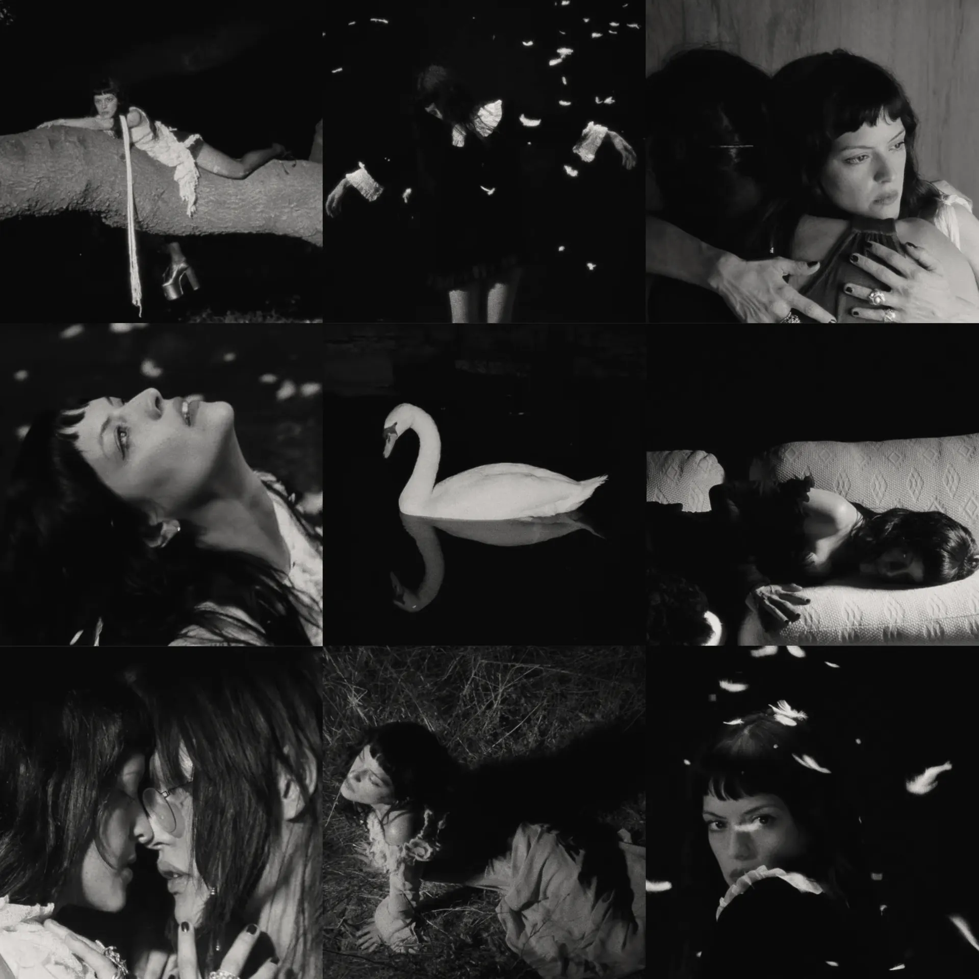 Contact sheet of nine black and white stills: a figure in a ruffled white top and dark skirt among falling feathers, a swan on water, and close portraits.